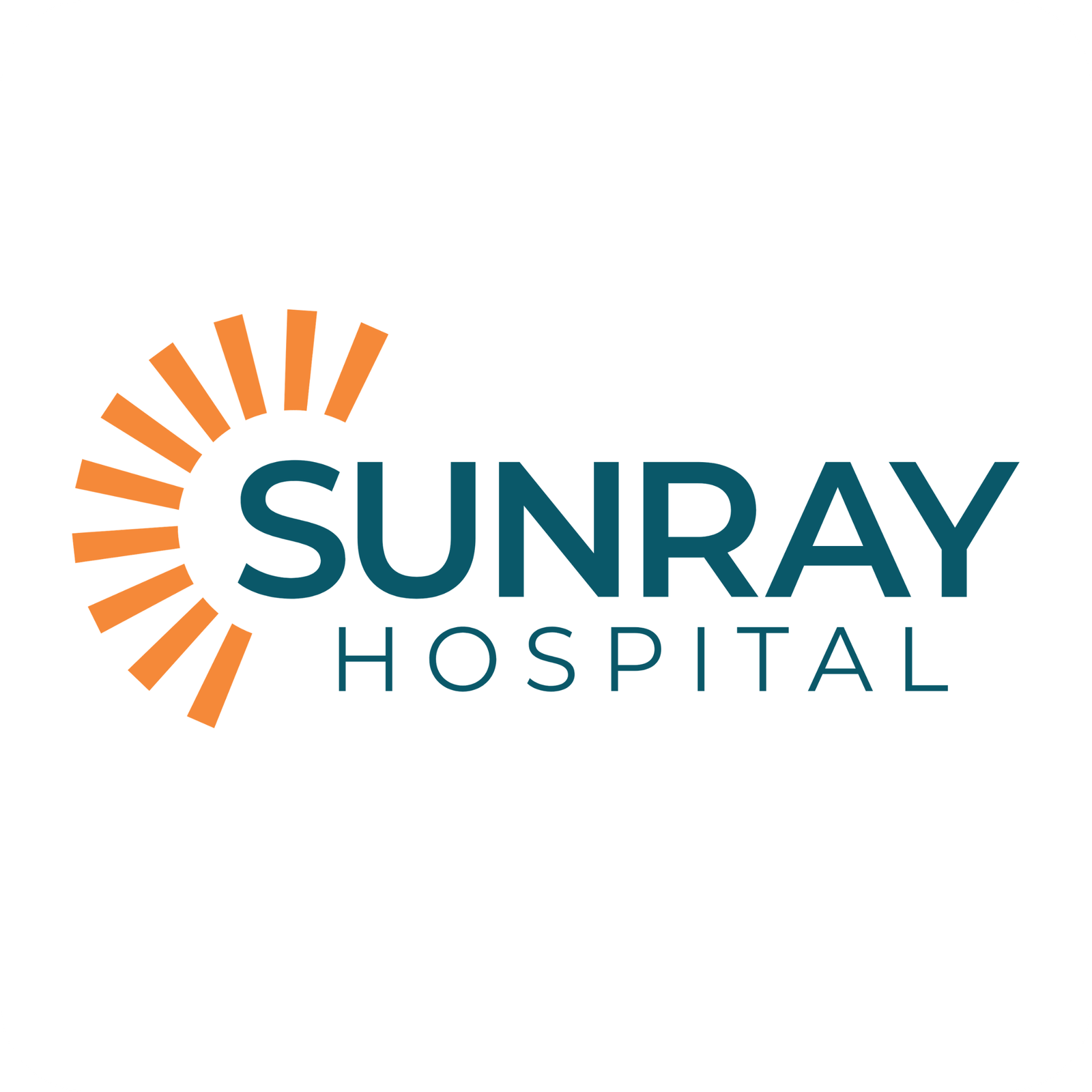 Client Logo